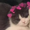 sweetenemies
