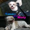 timmyenmisty