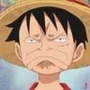 luffynatsuhoa9506
