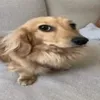 scxyzk