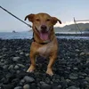 jasonnathaniel888