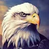 theeagle92