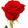 user0578803
