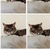 coffee.thecat