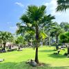 haryantisely