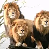 kingjoniman1