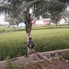 .keluarga.cemara8