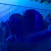 orian_tuvia