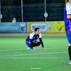 faroqi_561