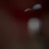 theblessedmom