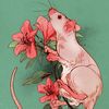 flower_mouse_