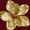 nihaofin3shytt_