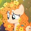 starfilleddreams