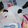 dewamuezza