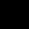 p3t0798