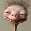 weerephongkhamphon