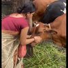 snehasingh7569