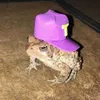 haztefamosoentiktok