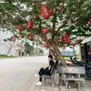 thaibg9x
