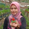 dhiadina0109