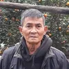 nguyn.vn.tut384