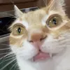 putaindemerde_da0