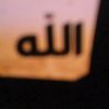 quraaan815
