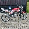 scorpiomanis6