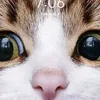pinakamagaling17