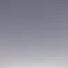 stillchoseyou