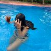 mayrii23
