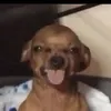 jesksant_