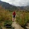 edhzie84