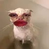 pqrsarahtuvwxyz