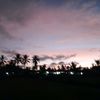 nananann_05