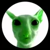 mikro.cypek21152115