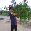 arifbakoelyoutube
