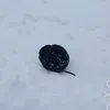 i.wont.let.anyone.follow