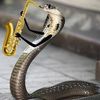 jazz._.snake
