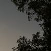 5sl_130