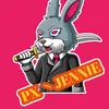 pxjennie84