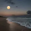 stilllovingthemoon