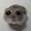 2182372017