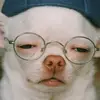 duerfyqt