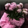 sangmi_kr