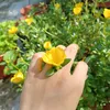 thanhxuan2.3.29.5.04