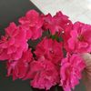 dirumahaja50.id