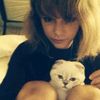 moonswiftie_