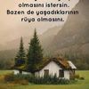 37800snbsnb