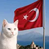 2134karadayi